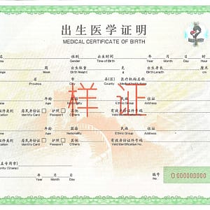 蒙特利尔入籍入学出生证明魁北克官方认证法语翻译文件样本