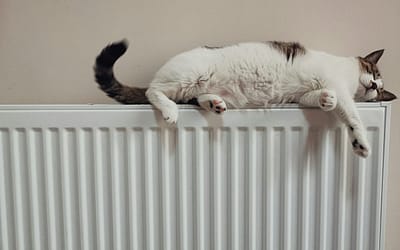 蒙特利尔冬季生存指南:告别天价电费单的终极策略 (80/20 法则)